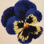 GHO120 Blue Pansy